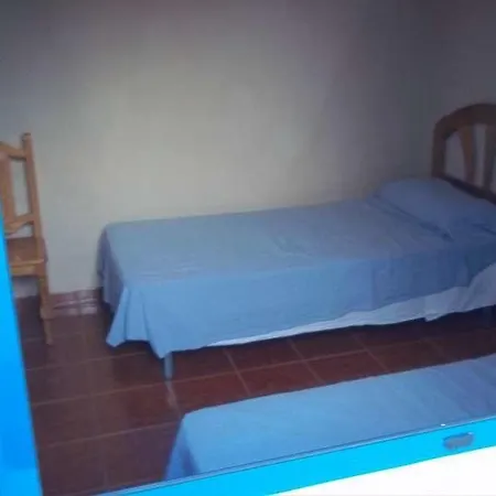 Dioon Apartamento