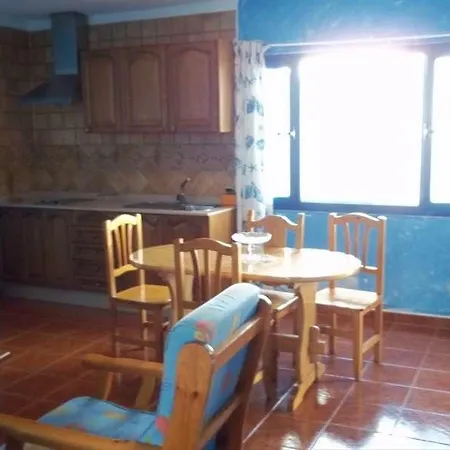 Dioon Apartamento