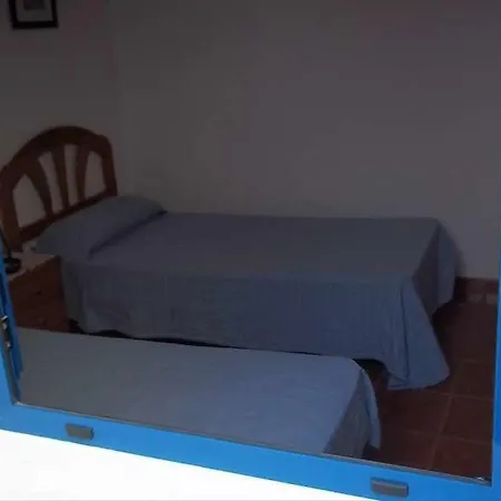 Dioon Apartamento